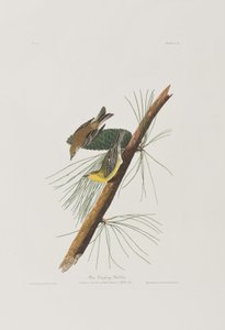 Ilustrace z 