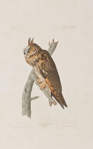 Ilustrace z 