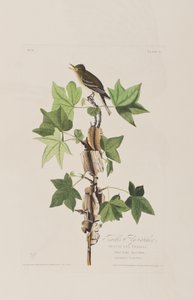 Ilustrace z 