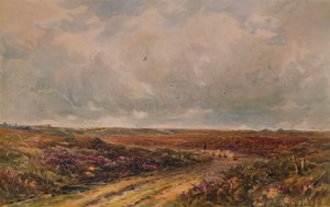 Bouřlivý den na Surrey Common, 19.–20. století, 1935