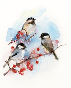 Chickadees with bobule, 2017, (akvarel)