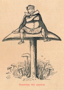 Superbus, nováček, 1852 od John Leech