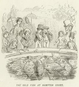 Zlatá rybka v Hampton Court od John Leech