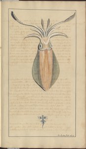 Lindsay Drawings Vol. VII, 29 od John Lindsay