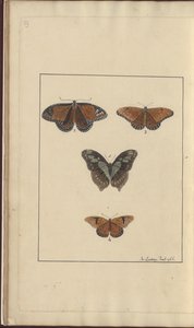 Lindsay Drawings Vol. VI, 29 od John Lindsay