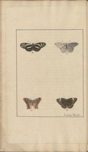 Lindsay Drawings Vol. VI, 35 od John Lindsay