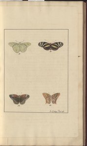 Lindsay Drawings Vol. VI, 36 od John Lindsay