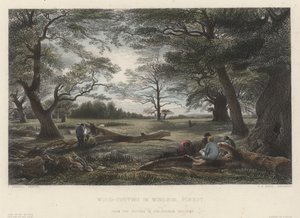 Řezání dřeva ve Windsorském lese (barevné rytí) od John Linnell