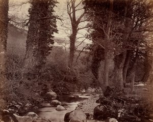 Bez názvu, c. 1859. od John Lloyd