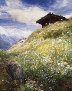 Alpská louka, Švýcarsko,