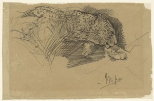 Studie leoparda od John Macallan Swan