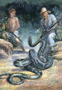 Švýcarská rodina Robinsonových od John Millar Watt