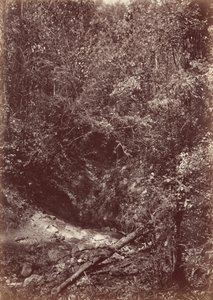 Expedice Darien, 1871 (foto) od John Moran