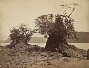 Ostrovy v Lemon Bay, 1871. od John Moran