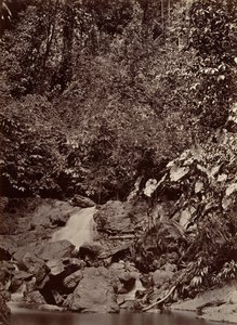 Tropická scenérie, Cascade, Limon River, 1871.
