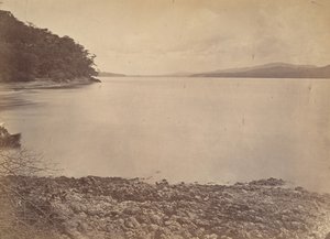 Tropická scenérie, Darien Harbour - Pohled na jih, 1871. od John Moran