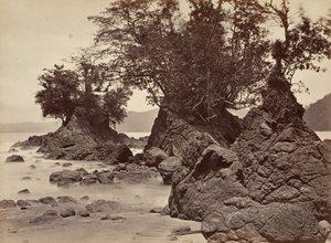 Tropická krajina, Limon Bay – odliv, 1871.