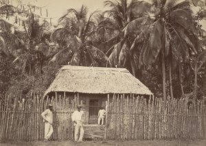 Tropická scenérie, Native Hut, Turbo, 1871.