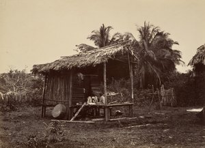 Tropická scenérie, Native Hut, Turbo, 1871. od John Moran