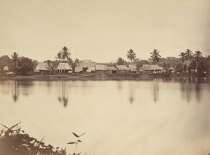 Tropická scenérie, Santa Maria del Real, Darien, 1871.