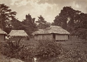 Tropická scenérie, Turbo Village, 1871.