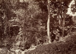 Tropická krajina, pohled poblíž Chipigana, 1871. od John Moran