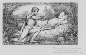 Robert Burns: Blooming Nelly (rytina)