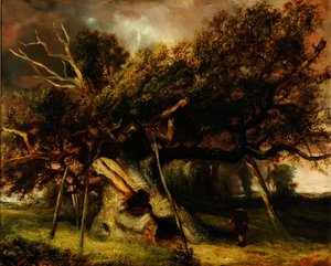 Dub Cowthorpe od John Nicholas Rhodes