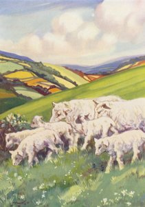 Ilustrace pro Beautiful Joe od Marshalla Saunderse (barevná litografie) od John Nicholson