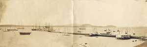 Auckland Harbour, 1865 (tisk alba)