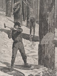 Dřevorubectví v zimě Každou sobotu, sv. II, Nová řada, 28. ledna 1871.