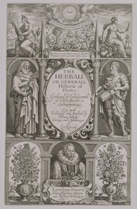 Titulní list druhého vydání knihy The Herball od Johna Gerarda (1564-1612) 1633 od John Payne
