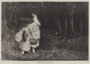 Strašidelné dřevo od John Pettie