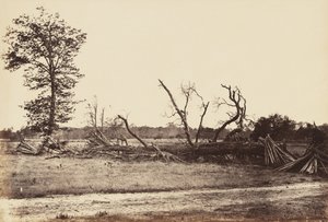 Extreme Line of Confederate Works, Cold Harbor., duben 1865 (tisk alba na tkaném papíře)