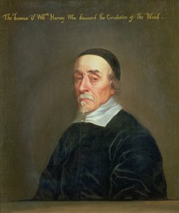 Portrét Williama Harveyho (1578-1657)