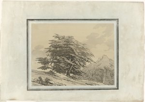 Cedr od John Robert Cozens