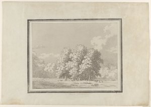 Kaštan od John Robert Cozens