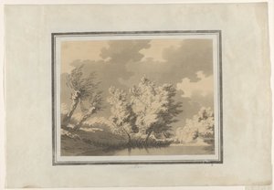 Vrba od John Robert Cozens