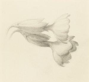 Zvony pastýřů, pravděpodobně 1871. od John Ruskin