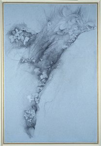 Mech a lesní jahoda od John Ruskin