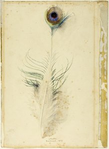 Paví peří od John Ruskin