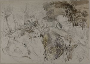 Keře a stromy ve skalnaté krajině od John Ruskin