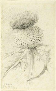 St. Cergues od John Ruskin