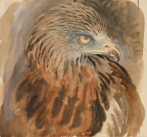 Hlava draka, ze života, 30. srpna - 1. září 1870. od John Ruskin