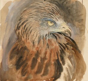 Hlava draka, ze života, 30. srpna - 1. září 1870. od John Ruskin