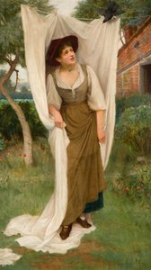 Laundress překvapený kosem, 1891.