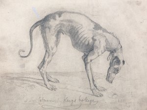 Vyhladovělý chrt od John Sell Cotman