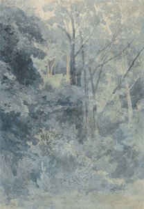 V Rokeby Parku od John Sell Cotman