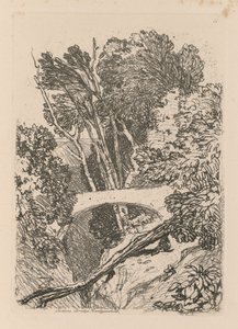 Liber Studiorum: Deska 11: Parsons Bridge, Cardingshire, 1838. od John Sell Cotman