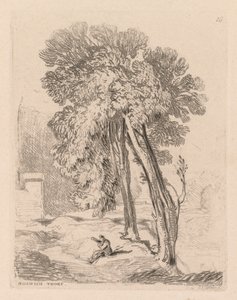 Liber Studiorum: Plate 18, Trees at Norwich Thorp, Norfolk od John Sell Cotman
